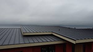 Best Rubber Roofing (EPDM, TPO)  in Hebbronville, TX